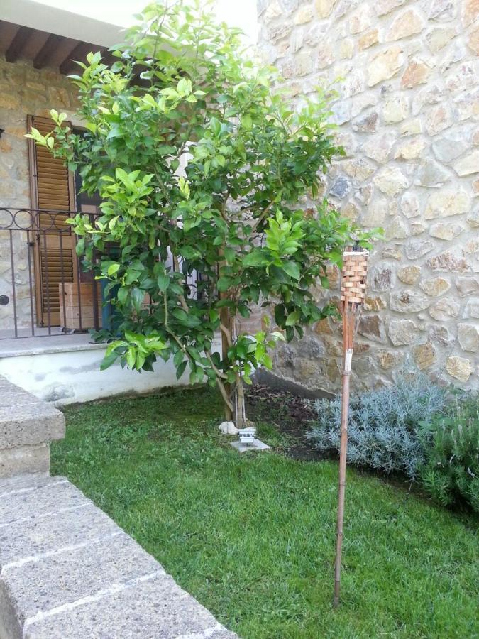 Apartament Il Poggio Da Leo Capanne Zewnętrze zdjęcie